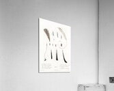 King bird of paradise feather and tail Acrylic Print