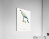 Green roller Acrylic Print