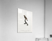 Old braeded tachuri  Acrylic Print