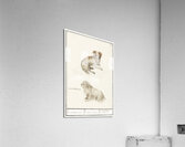 Two dogs in vintage style Acrylic Print