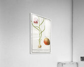 Snakes head flower and apple Acrylic Print