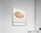 Flamingo in vintage style Acrylic Print