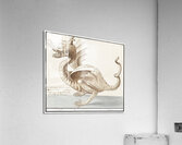 Dragon in vintage style Acrylic Print