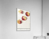 Apple in vintage style Acrylic Print