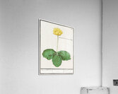 Yellow floppy in vintage style Acrylic Print