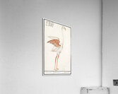 Flamingo in vintage style Acrylic Print