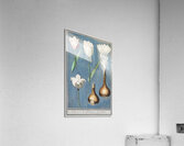 Tulip in vintage style Acrylic Print