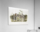 Canada Pouched Rat Pseudostoma bursarius  Acrylic Print