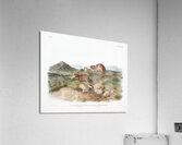 Tawny Lemming Georychus helvolus  Acrylic Print