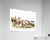 Cotton Rat Arvicola hispidus  Acrylic Print