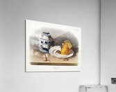 Cotton Rat Arvicola hispidus  Acrylic Print