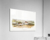 Pouched Jerboa Mouse Dipodomys Phillipsii  Acrylic Print
