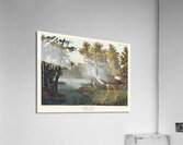 Yellow Shank Acrylic Print