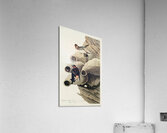 Republican or Cliff Swallow Acrylic Print