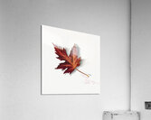 Autumn Leaf 1874 Acrylic Print