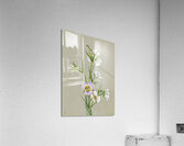 On the Road to Monument 1881 Acrylic Print