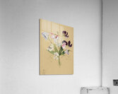 Flower Study 1886  Acrylic Print