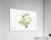 Puccoon Lithospermum ruderale 1923 Acrylic Print