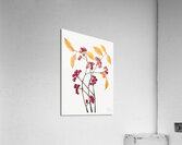 Red Chokeberry Aronia arbutifolia 1920 Acrylic Print