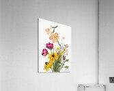 Group of Flowers 1881 Acrylic Print