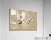 Flower Study 1876–1878 Acrylic Print