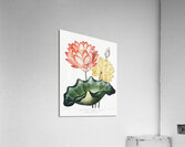 The Sacred Egyptian Bean Acrylic Print