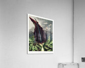 The Dragon Arum Acrylic Print