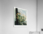 The Aloe Acrylic Print