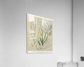 Sarah Featon 002 Acrylic Print