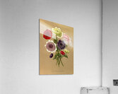 Album van Eeden : Haarlems flora : 1872-1881 Acrylic Print