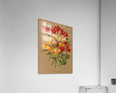 Album van Eeden : Haarlems flora : 1872-1881 Acrylic Print