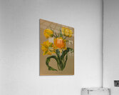 Album van Eeden : Haarlems flora : 1872-1881 Acrylic Print