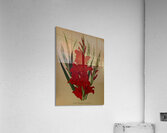 Album van Eeden : Haarlems flora : 1872-1881 Acrylic Print