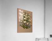 Album van Eeden : Haarlems flora : 1872-1881 Acrylic Print