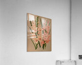 Album van Eeden : Haarlems flora : 1872-1881 Acrylic Print