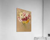 Album van Eeden : Haarlems flora : 1872-1881 Acrylic Print