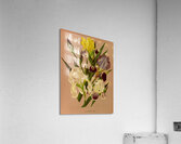 Album van Eeden : Haarlems flora : 1872-1881 Acrylic Print