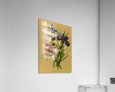 Album van Eeden : Haarlems flora : 1872-1881 Acrylic Print