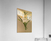 Album van Eeden : Haarlems flora : 1872-1881 Acrylic Print