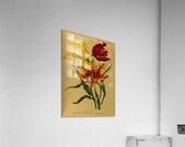 Album van Eeden : Haarlems flora : 1872-1881 Acrylic Print