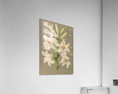 Album van Eeden : Haarlems flora : 1872-1881 Impression acrylique