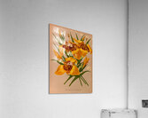 Album van Eeden : Haarlems flora : 1872-1881 Acrylic Print