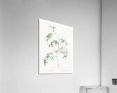 African flag illustration  Acrylic Print