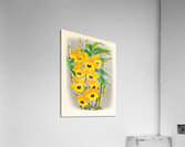 Dendrobium paxtoni Acrylic Print