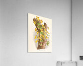 Oncidium Limminghei Acrylic Print