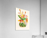 Odontoglossum grande Acrylic Print