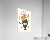 Lilium Tigrinum 1834 Acrylic Print