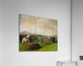Buffalo Chase Bulls Making Battle With Men And Horses 1832-1833 Acrylic Print