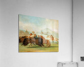 Batiste And I Running Buffalo Mouth of The Yellowstone 1832-1833 Acrylic Print