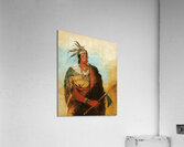 Go-To-Ków-Páh-Ah Stands By Himself a Distinguished Brave 1830 Acrylic Print